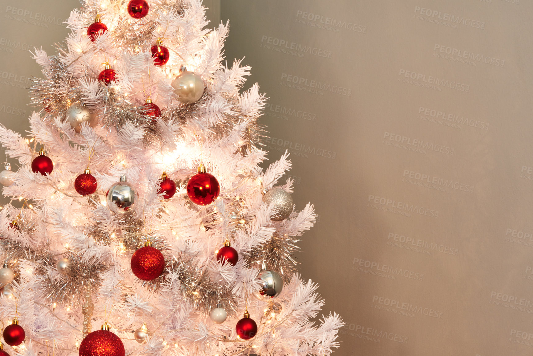 Buy stock photo Shot of a Christmas tree