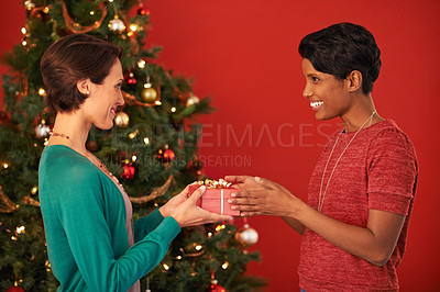 Buy stock photo Shot of two young women exchanging gifts at Christmas