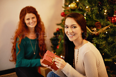 Buy stock photo Cropped portrait of two young women sitting by a christmas tree