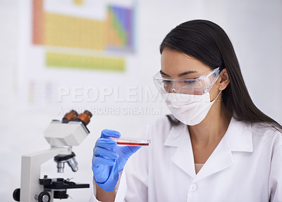 Buy stock photo Cropped shot of a female scientist observing the culture in a dish