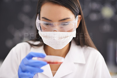 Buy stock photo Scientist, mask and woman with petri dish for blood analysis, experiment or research in laboratory. Science, glasses and medical professional with culture plate, study and inspection for dna test