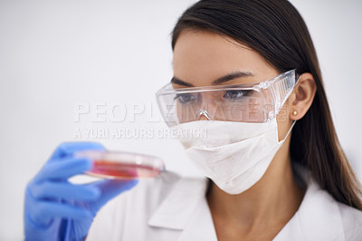 Buy stock photo Science, mask and woman with petri dish for medical research, experiment for blood analysis in laboratory. Scientist, glasses and professional with culture plate, study and inspection for dna test