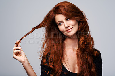 Buy stock photo Studio shot of a young woman holding her beautiful red hair against a gray background