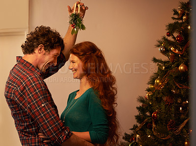 Buy stock photo Christmas, happy couple and mistletoe with hug for holiday celebration, festive season and excited at home. plant, flower or tree with people and tradition for kiss, trust with love and care