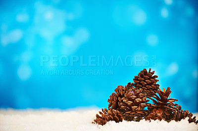 Buy stock photo Studio, christmas and decoration with snow, pinecone and ice for holiday celebration. Ornament, plant and winter for frozen, symbol or tradition for vacation break and season cheer on blue background