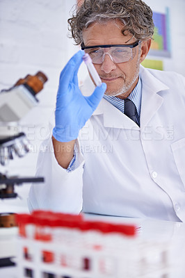 Buy stock photo Scientist, blood and test tube in laboratory, healthcare facility and chemistry for medical research. Male person, science expert and doctor with results for analysis, dna and forensic study