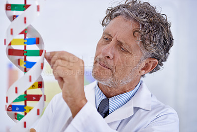 Buy stock photo A mature scientist working on a DNA model in his lab