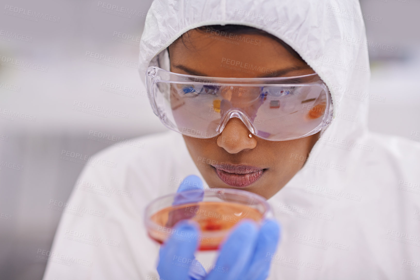 Buy stock photo A young scientist in protective clothing examining a petri dish in her lab