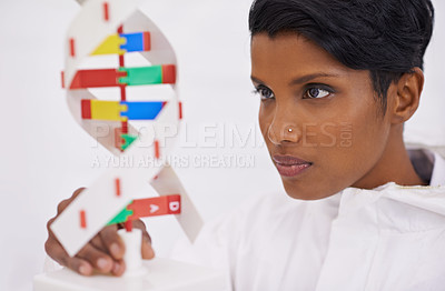 Buy stock photo DNA model, scientist or lab research in medical, bio chemical or scientific innovation as forensic. Woman, chemistry or molecular clone in analysis, experiment or breakthrough in genetic test