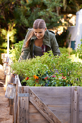 Buy stock photo Happy woman, plants and harvest with crops or resources in agriculture, growth or natural sustainability of fresh produce. Female person or farmer with smile for vegetables, nutrition or production