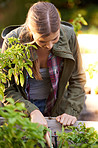 Doing her bit for conservation