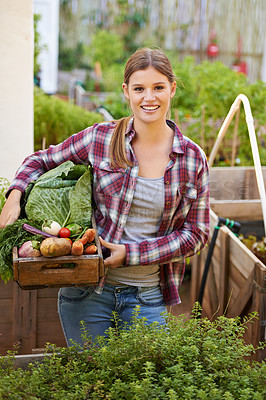 Buy stock photo Happy woman, portrait and farmer with box of vegetables in garden or harvest for crops and nature resources. Female person with smile holding a crate of organic veg, natural growth or fresh produce