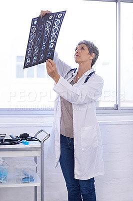 Buy stock photo Woman, senior doctor and study xray for planning medical treatment, surgery and healthcare at hospital. Brain scan, neurology and radiology with surgeon for health assessment,  anatomy and MRI