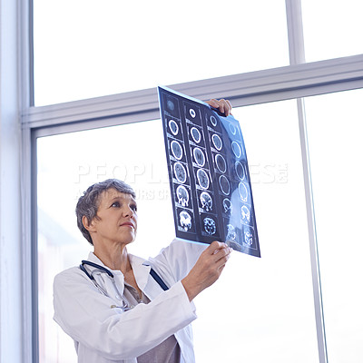 Buy stock photo Woman, mature doctor and study xray for planning medical treatment, surgery and healthcare at hospital. Brain scan, neurology and radiology with surgeon for health assessment, anatomy and MRI