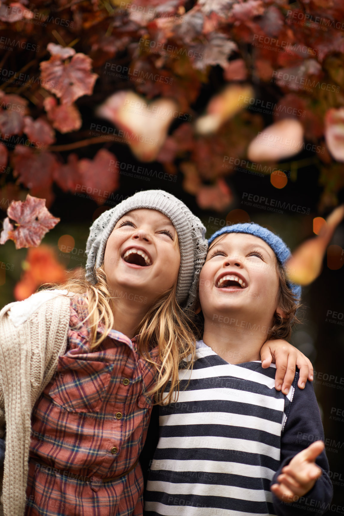 Buy stock photo Happy, celebration and children with autumn leaves, freedom or fun in a park for bonding, games or playing. Nature, love and kids excited for tree confetti in woods for camping, learning or travel