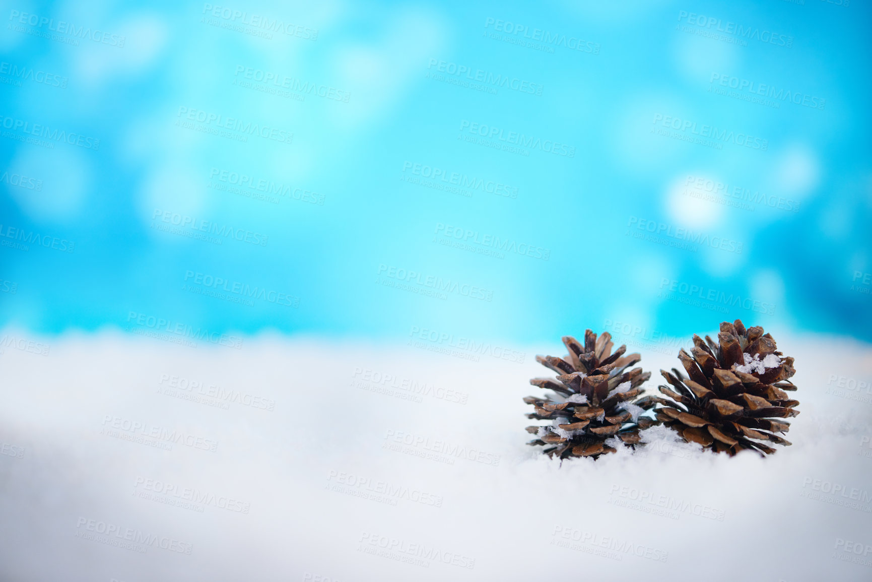 Buy stock photo Pine cones lying on some snow