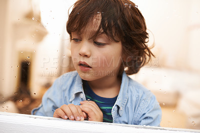 Buy stock photo Window, sitting and boy in home for rain, bored or lonely for disappointed or sad for season outdoor. Young child or kid and watching weather in house for cold and wait for play for childhood