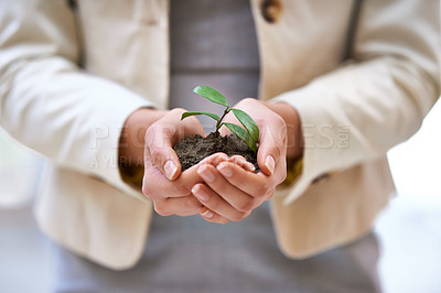 Buy stock photo Hands, plant or woman with leaf for green business, soil or agriculture, startup or economy growth closeup. Sustainability, future or entrepreneur zoom with accountability, funding or ngo support