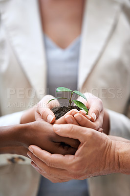 Buy stock photo Business people, closeup and hands with a plant, soil and company growth with finance and nature. Group, professional network and coworkers with teamwork and seed funding for startup with development