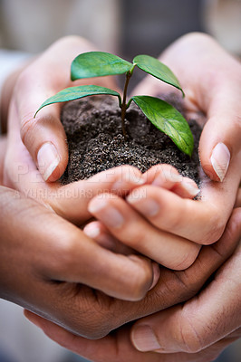 Buy stock photo Cropped shot of a hands holding a budding plant