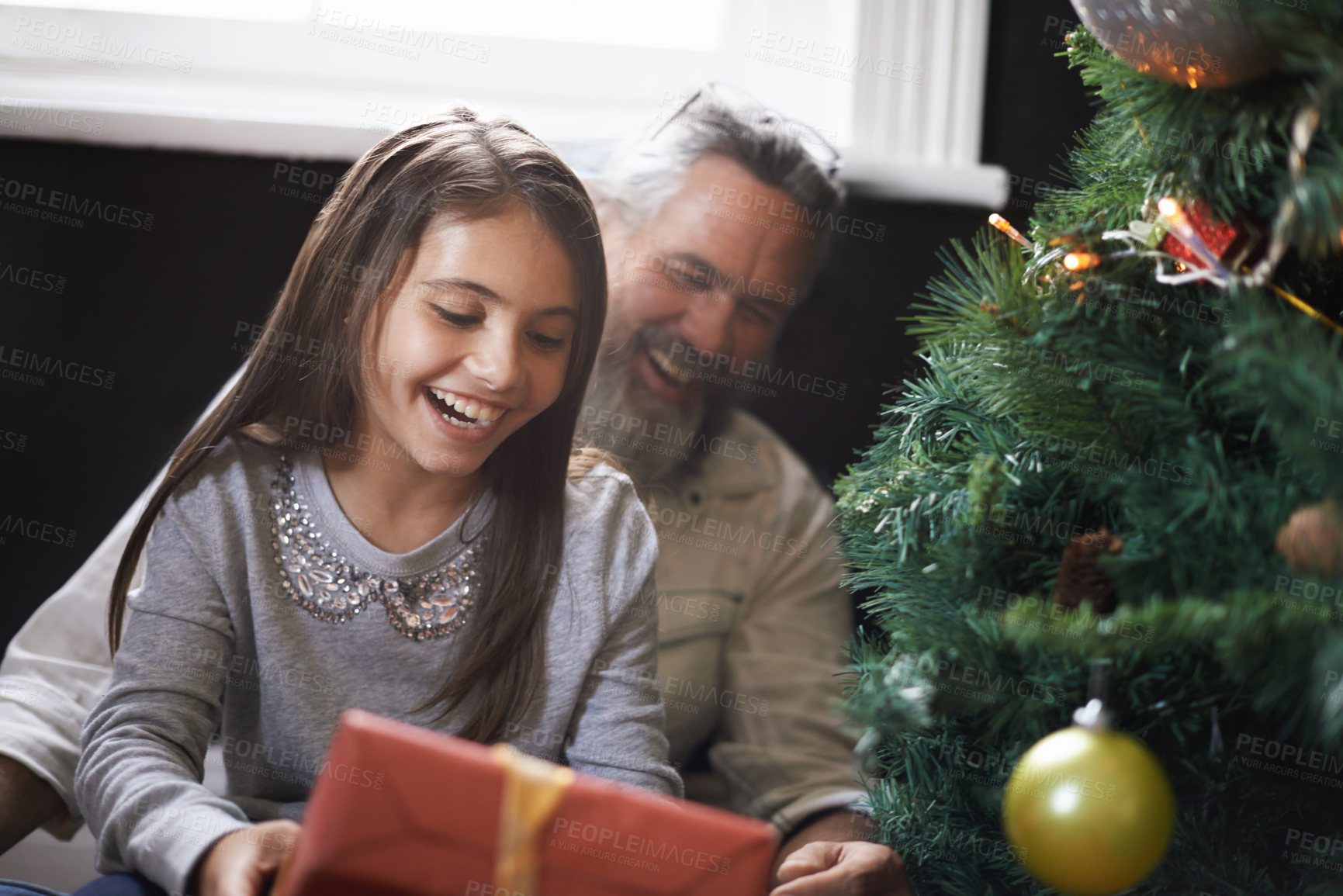 Buy stock photo Grandpa, child and gift by Christmas tree on xmas, festive season and present for bonding in lounge. Grandfather, girl and home for package on religious holiday, celebration and love for tradition