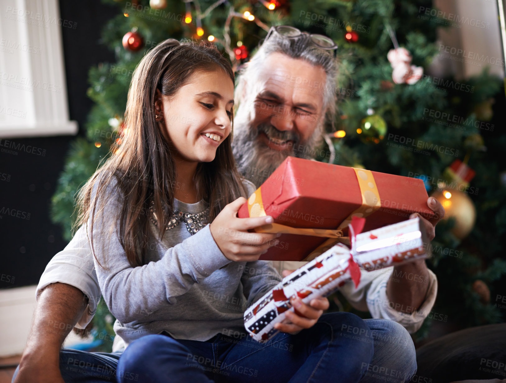 Buy stock photo Grandpa, child and gift by Christmas tree in home, festive season and present for bonding on xmas. Grandfather, girl and happy for package on religious holiday, celebration and love for tradition