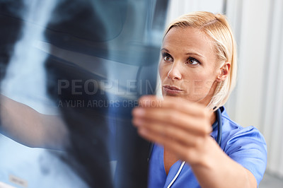 Buy stock photo A beautiful young doctor examining an x-ray