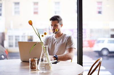 Buy stock photo Coffee shop, flower vase and man with laptop and plant doing code work in a cafe. Tech, interior and male freelancer customer at a restaurant with mockup and writing with focus on web coding