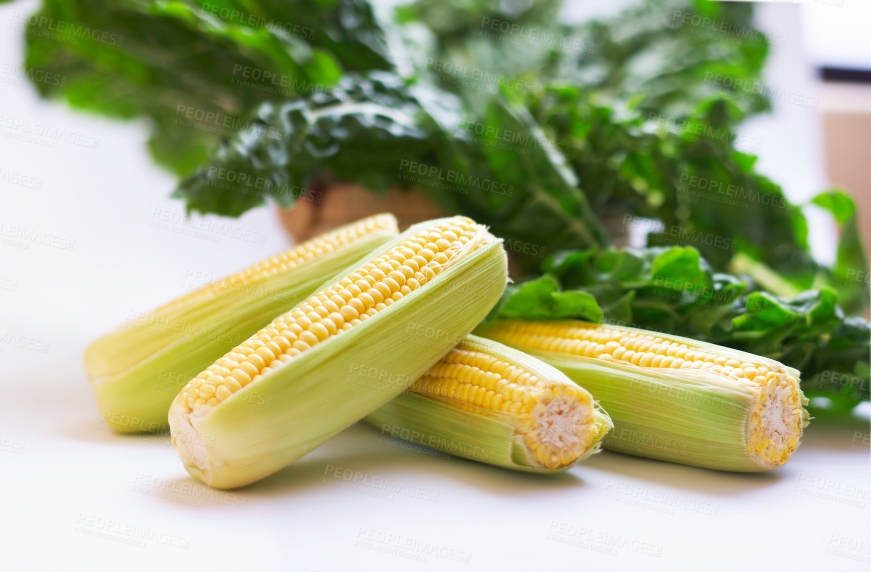 Buy stock photo Corn on cob, healthy food and vegetable in studio with color, art and creativity for nutritionist. Cooking, wellness diet and nutrition with clean, green or vegan meal isolated on a white background