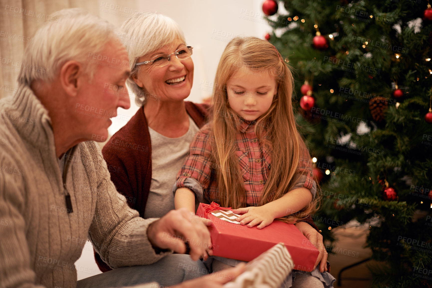 Buy stock photo Shot of a little girl spending Christmas with her grandparents