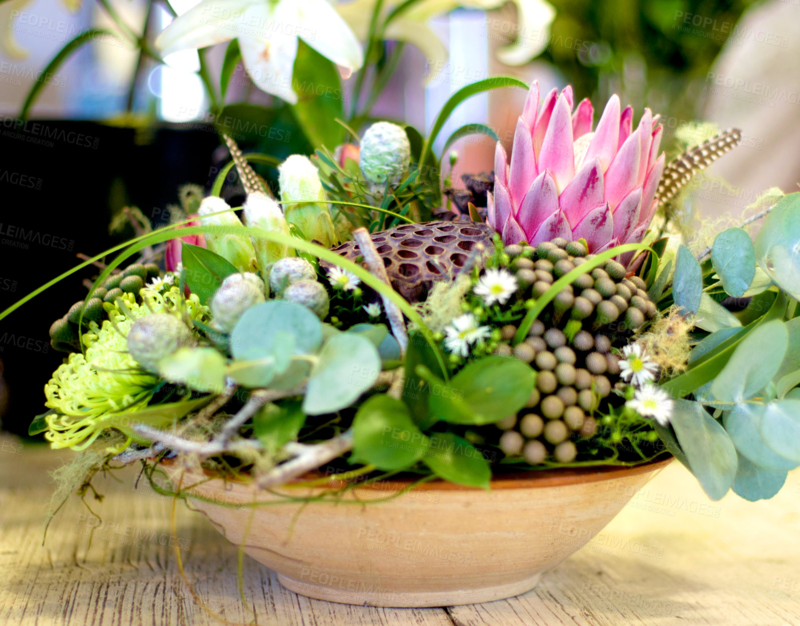 Buy stock photo Closeup of a beautiful arranged potted bouquet