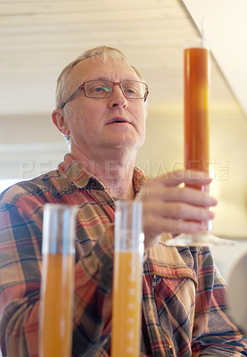 Buy stock photo Beer, production and quality control with a man brewing a batch of alcohol while testing the flavor or taste. Manufacturing, brewery and beverage with a male worker in a distillery to produce drinks