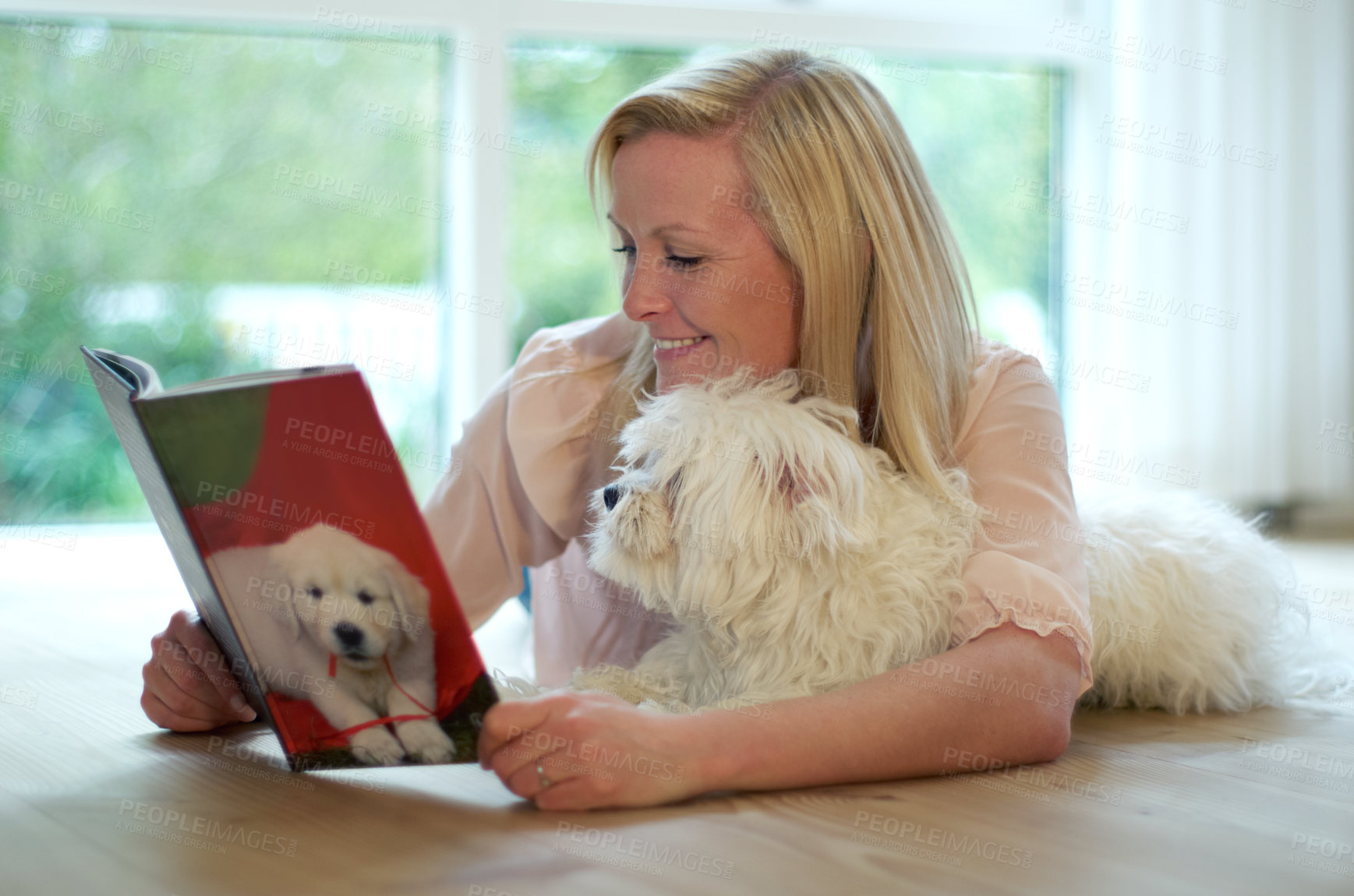 Buy stock photo A young woman reading a book about dogs while cuddling her dog