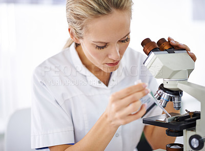 Buy stock photo Petri dish, microscope or woman scientist in laboratory for research, medical analysis or test experiment. Solution, investigation or science expert with technology for future development or results