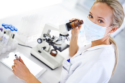 Buy stock photo Medical, research and woman with tablet and microscope in lab with development in biotechnology. Scientist, typing or check results pharmaceutical report or review data of innovation in science
