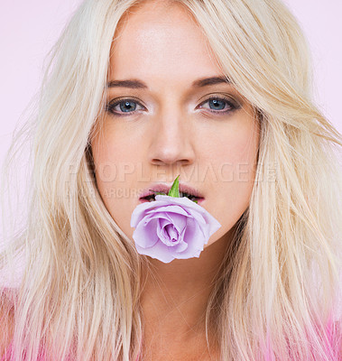 Buy stock photo A studio portrait of a beautiful young woman with a purple rose in her mouth