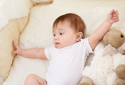 Buy stock photo Baby, bedroom and rest with sheep in home, above and healthy with growth, development and playing in morning. Infant, child and newborn with lamb doll, soft toys and relax in nursery at family house