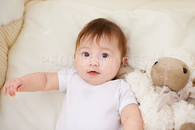 Buy stock photo Baby, bed and portrait with sheep in home, above and healthy with growth, development and wellness in morning. Infant, child and newborn with lamb doll, soft toys and relax in nursery at family house