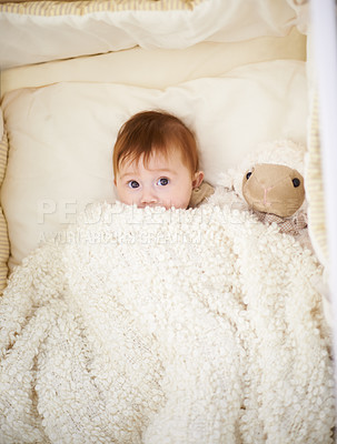 Buy stock photo Baby, bed and blanket with sheep in home, above and healthy with growth, development and playing in morning. Infant, child and newborn with lamb doll, soft toys and relax in bedroom at family house