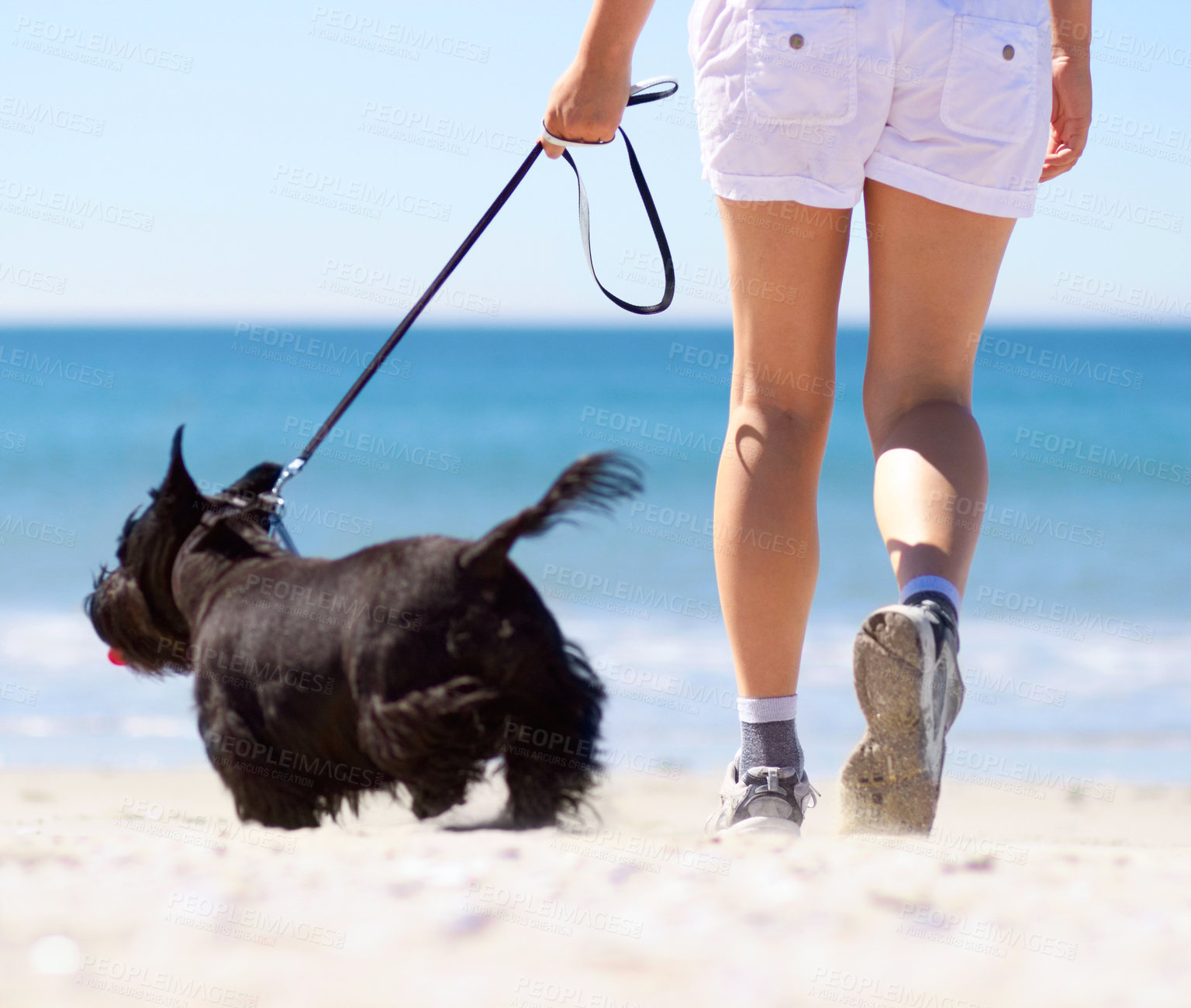 Buy stock photo Travel, summer and beach with woman and dog for walking, vacation trip and animal care. Health, energy and holiday with female and small pet on leash for break, training and peace by seaside