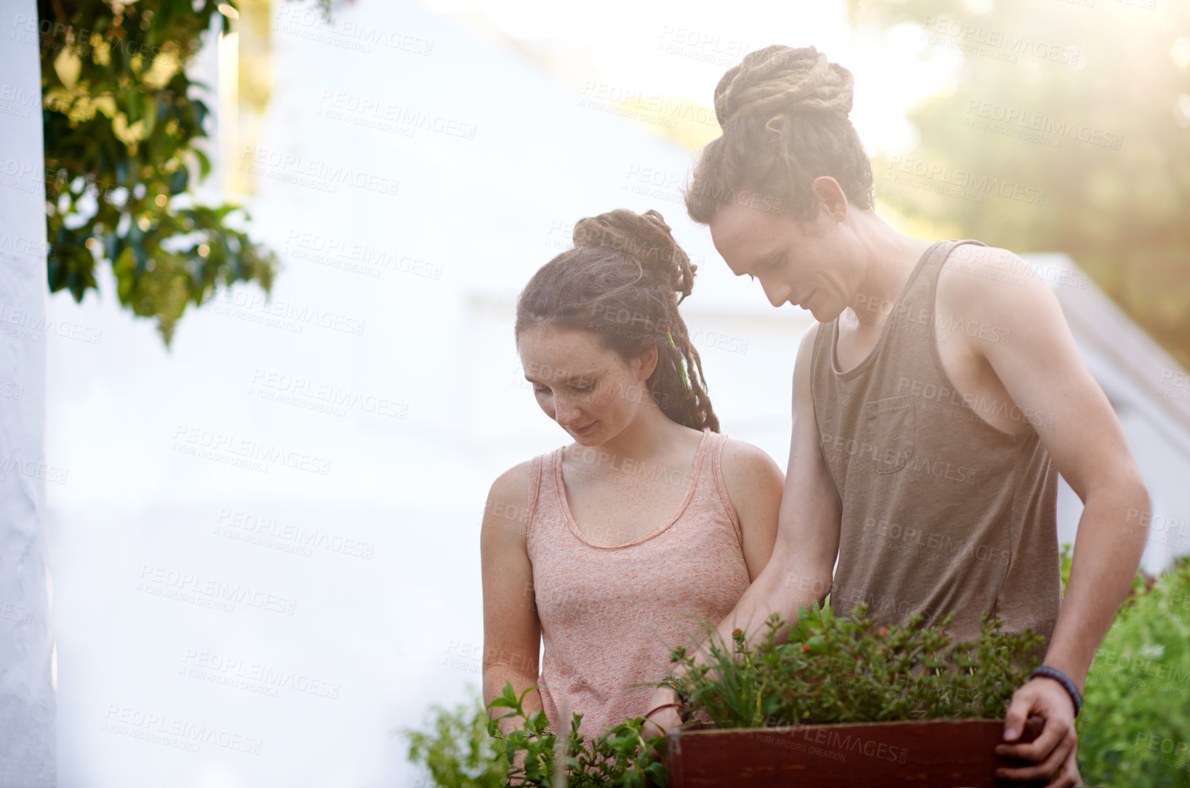 Buy stock photo Shot of a happy young couple enjoying a day of gardening