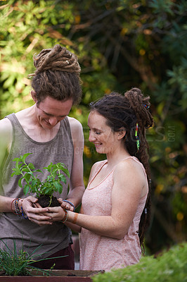 Buy stock photo Happy couple, man and woman with plants in backyard, harvest and sustainability of herbs for growth. People, working and caring for garden together with smile, dating and bonding in relationship