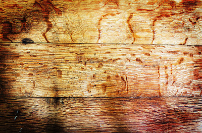 Buy stock photo Wood, floor and closeup on texture with detail of grain and pattern in material on ground in background. Wooden, board or flooring for deck as wallpaper or surface of woodworking piece with nobody