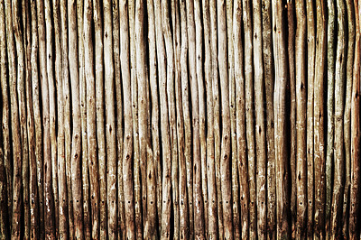 Buy stock photo Wood, log and stick for timber, pattern and lines for texture and bamboo for wallpaper and earth on closeup. Lumber and firewood together for brown, raw and natural for botany, eco and solid
