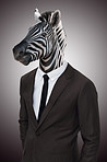 Earn your stripes in the corporate jungle