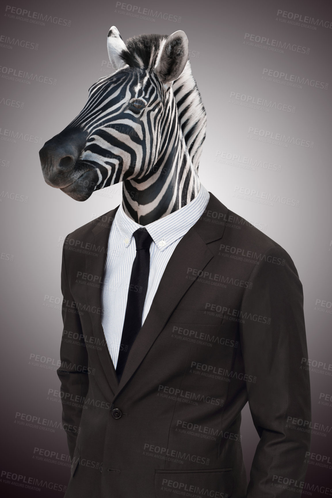 Buy stock photo Studio portrait of a businessperson with a zebra head