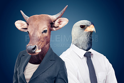 Buy stock photo Bull head, stock markets and finance or eagle or animals pose or surrealism and on studio background. Abstract, power and capital growth or business attire or corporate cow and alpha falcon face 