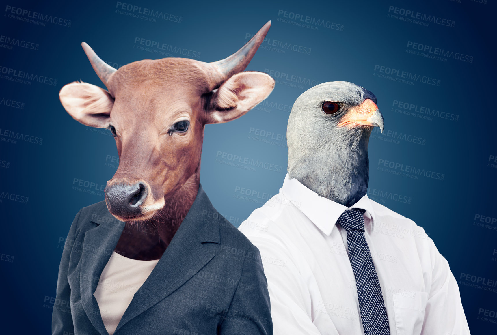 Buy stock photo Bull head, stock markets and finance or eagle or animals pose or surrealism and on studio background. Abstract, power and capital growth or business attire or corporate cow and alpha falcon face 