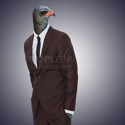 Buy stock photo Business, man and employee with an animal head, career and consultant against a dark studio background. Male professional, entrepreneur and consultant with a bird face, weird and career with strange