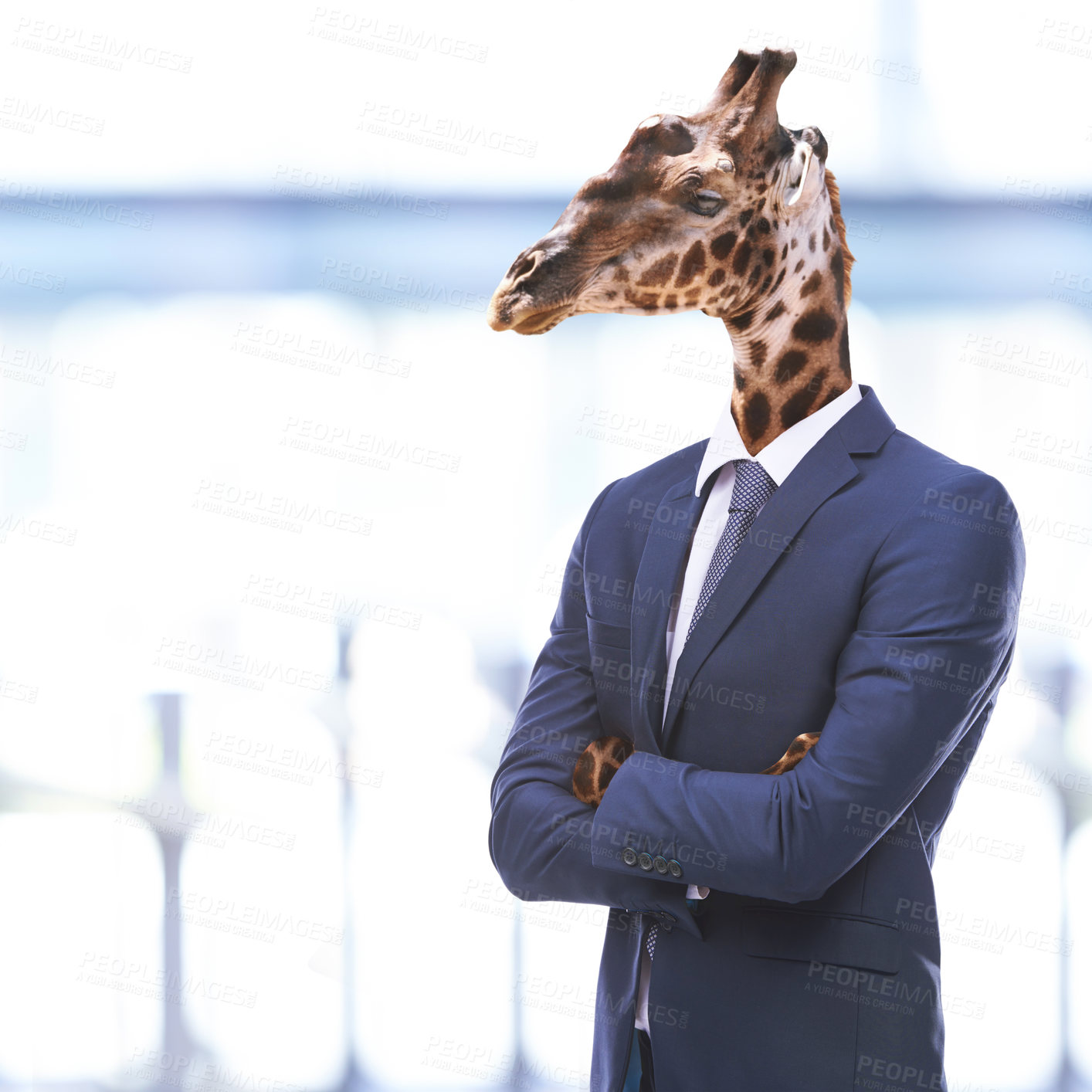 Buy stock photo Conceptual image of animal heads on business people